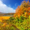 秋田県　八幡平　大沼